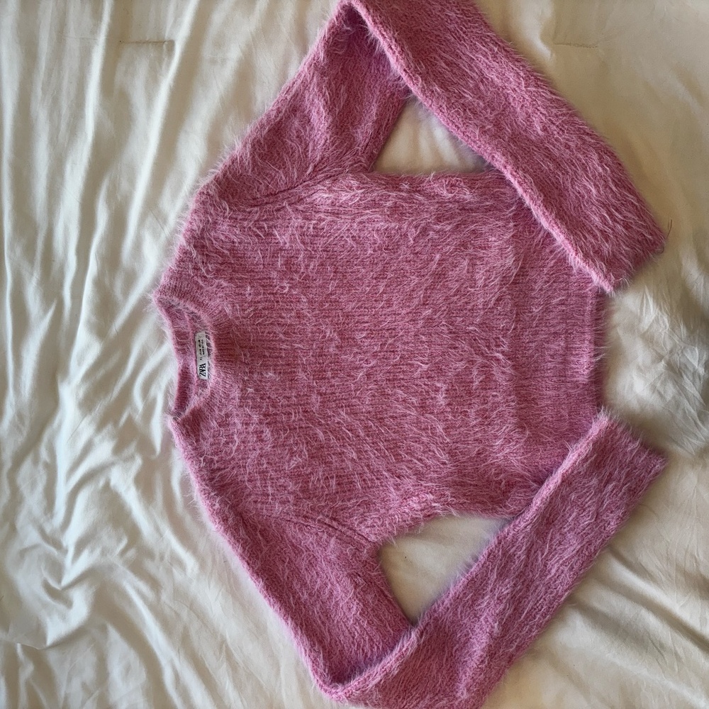 Zara Cozy Shag Sweater